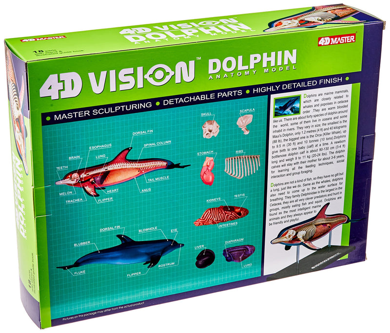 Famemaster 4D-Vision Dolphin Anatomy Model