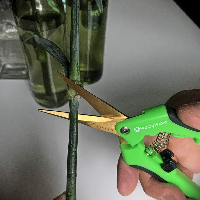 Happy Hydro Trimming Scissors with Straight Tip Titanium Coated Blades 1