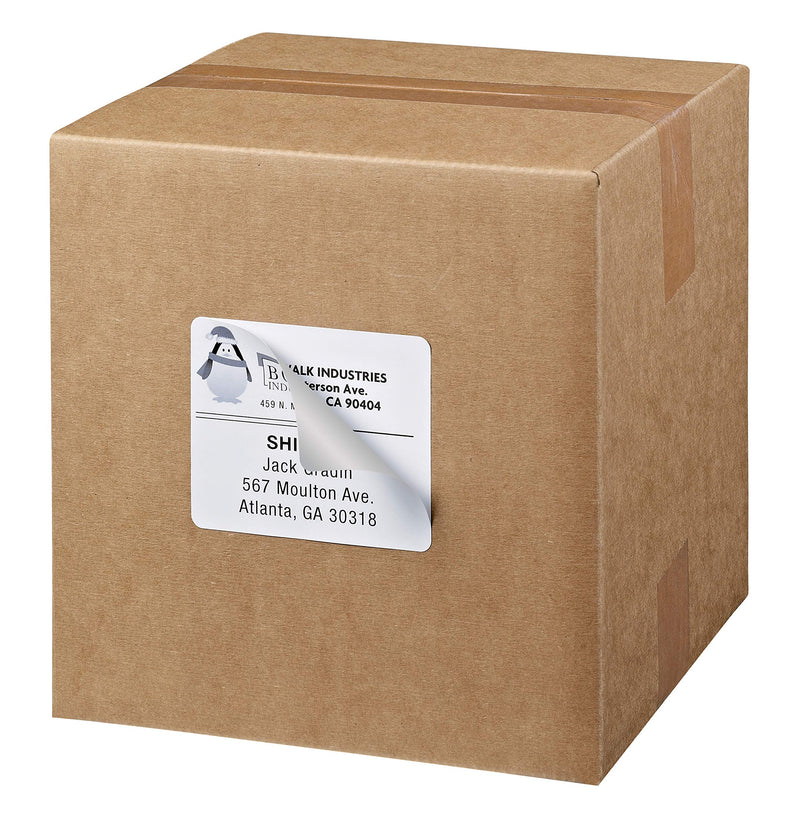 Avery Shipping Address Labels, Laser & Inkjet Printers, 60 Labels, 3-1/3x4 Labels, Permanent Adhesive (15264)