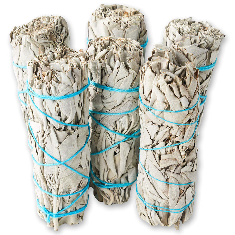 6 Pack White Sage ~ Sage Smudge Sticks for Smudging & Cleansing Energy ~ Bulk / Wholesale ~ Sustainably Grown (6 Pack) 6 Pack