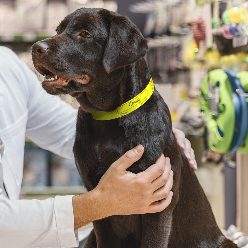 Printable Pet Collars Compatible with Various Printers and Software (Yellow) Yellow