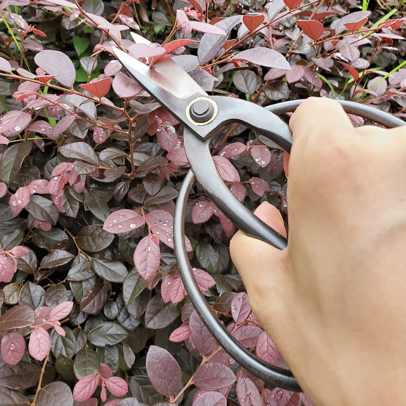 Gonicc Professional 7.3" Bonsai Scissors(GPPS-1012), For Arranging Flowers, Trimming Plants, For Grow Room or Gardening, Bonsai Tools. Garden Scissors Loppers.