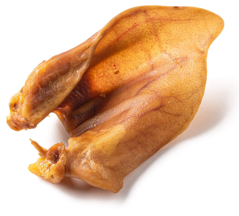 Jack&Pup Whole Pig Ears for Dogs - Extra Thick Large Pigs Ears - Premium Odor Free Dog Pig Ear Treats - Natural Dog Pork Chews; Excellent Rawhide Alternative (10 Pack)