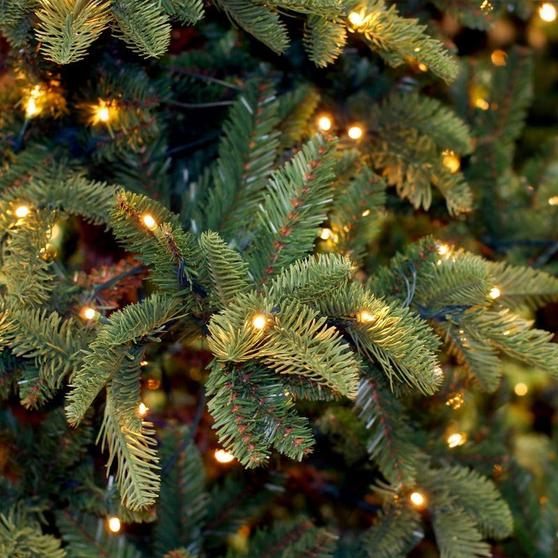 100-Count Clear Green Wire Christmas Light Set Christmas Decorations