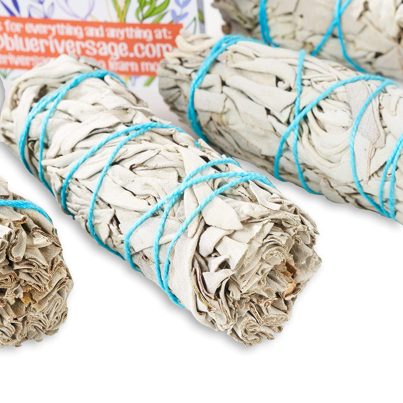 6 Pack White Sage ~ Sage Smudge Sticks for Smudging & Cleansing Energy ~ Bulk / Wholesale ~ Sustainably Grown (6 Pack) 6 Pack