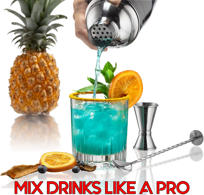 Mixology Cocktail Shaker Set Drink Mixer, 8-piece Portable Bartender Kit with 24oz Martini Shaker Barware Tool Set, 2 Pourers, Muddler, Jigger, Mixing Spoon, Velvet Bag, Built-in Strainer (Silver) Silver