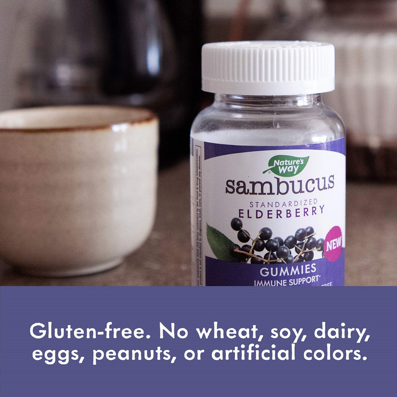 Nature's Way Sambucus Black Elderberry Gummies with Vitamin C and Zinc, 60 Gummies 60 Count (Pack of 1) Purple