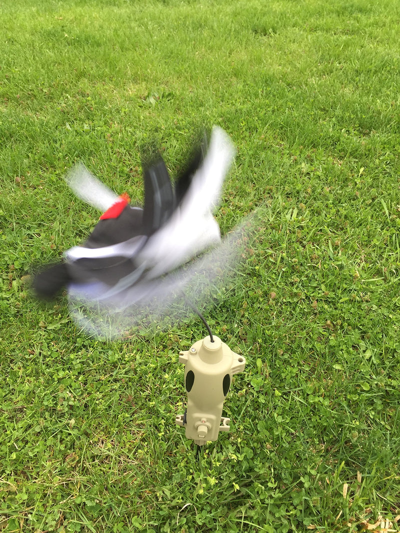 Icotec-Decoy PD200