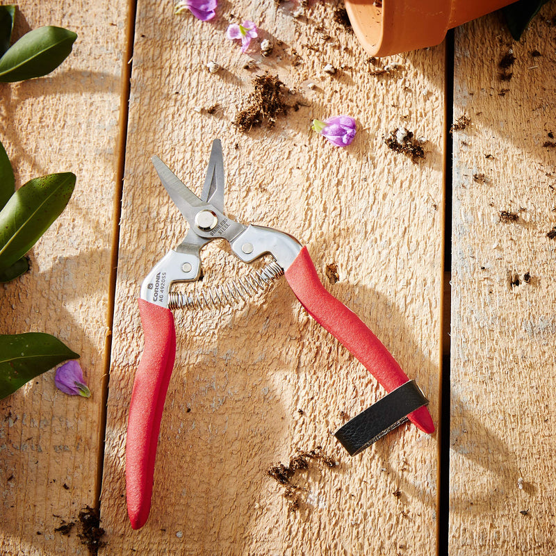 Corona AG 4920SS Short Curved Snip, Stainless Steel