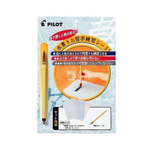 Ms-100p Exercise Books Calligraphy Writing Your Paper Wed Suihitsu Pilot