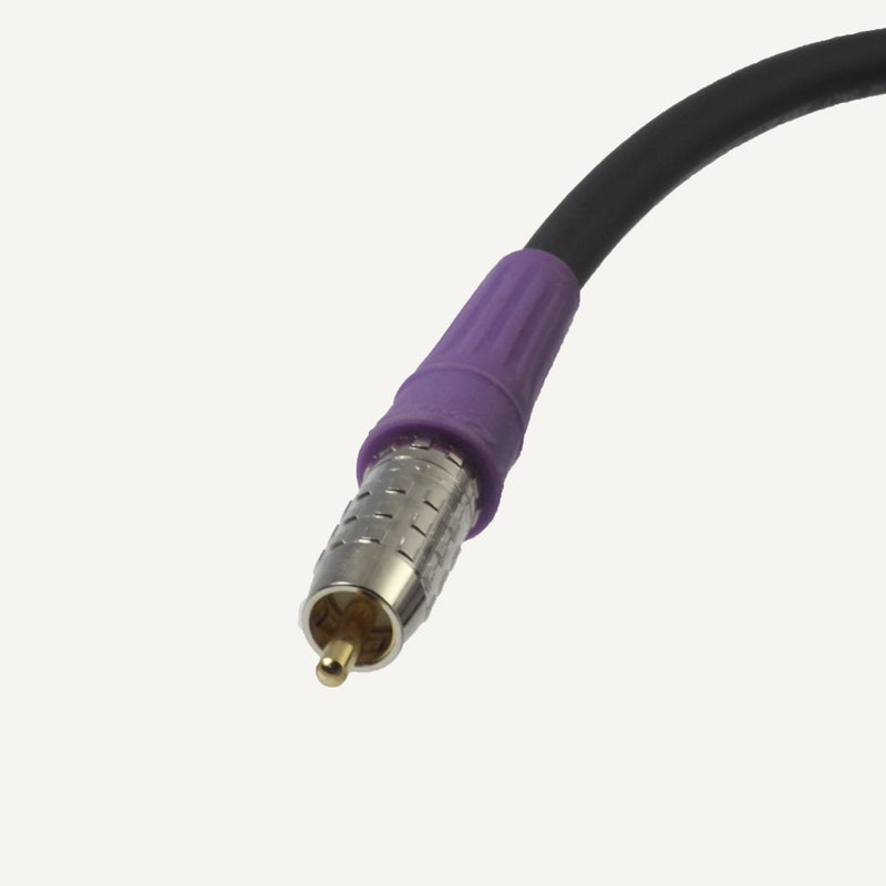 Blue Jeans Cable LC-1 Double-Shielded Low Capacitance Subwoofer Cable, 10 Foot, Black