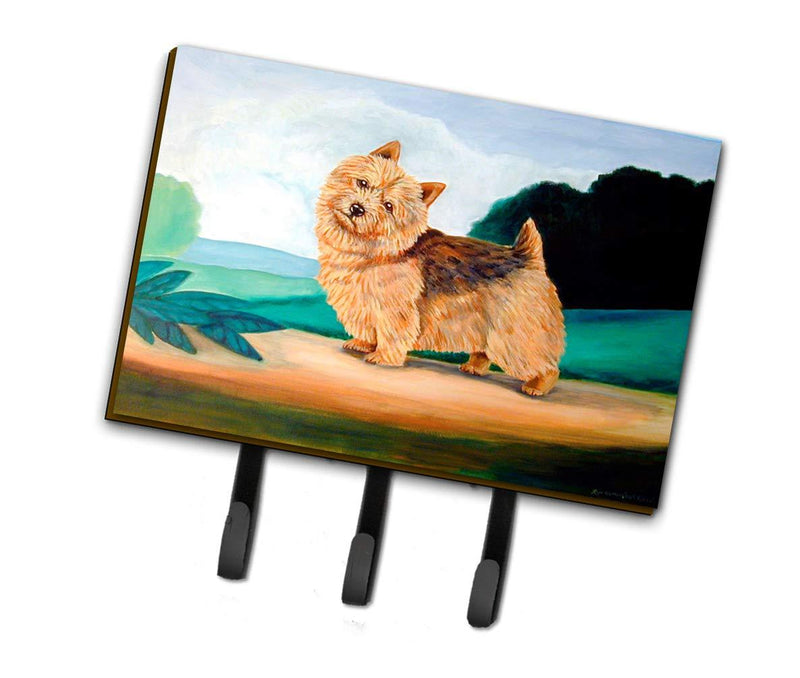Caroline's Treasures 7519TH68 Norwich Terrier Leash Holder or Key Hook, Triple, Multicolor