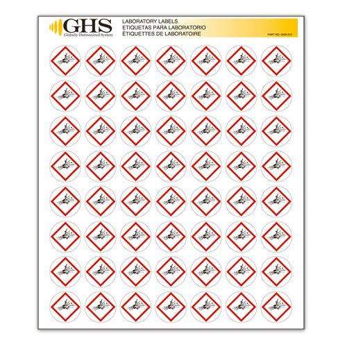 GHS/HazCom 2012: Hazard Class Pictogram Label, Exploding Bomb, 1" each (Pack of 1120)