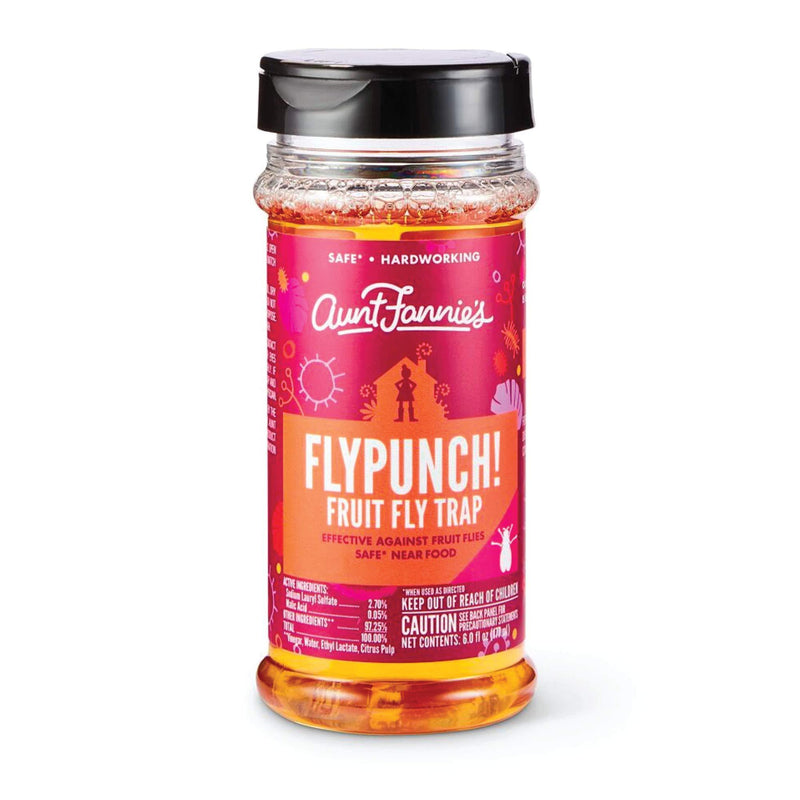 Aunt Fannie's FlyPunch - Fruit Fly Trap, Kill Fruit Flies, for Indoor Use (1-Pack) 6 Fl Oz (Pack of 1)