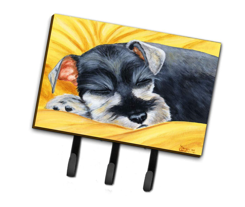 Caroline's Treasures AMB1161TH68 Snoozing Schnauzer Leash or Key Holder, Triple, Multicolor