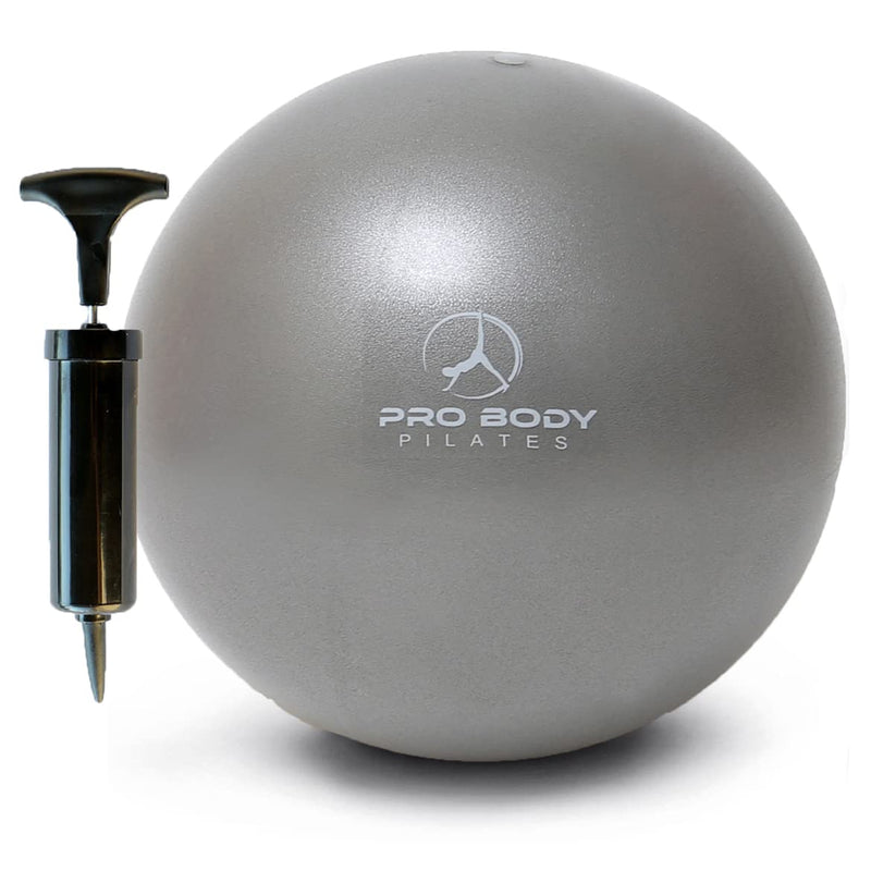 ProBody Pilates Mini Exercise Ball with Pump - 9 Inch Small Bender Ball for Stability, Barre, Pilates, Yoga, Balance, Core Training, Stretching and Physical Therapy with Workout Guide Silver