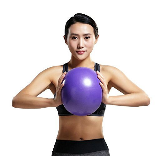 Mini Yoga Pilates Ball 10 Inch for Stability Exercise Training Gym Anti Burst and Slip Resistant Balls with Inflatable Straw Purple