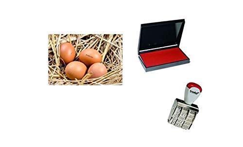 Egg Dater KIT - Includes 3mm Rubber Date Stamp and Ink pad containing Egg Safe Food Ink - RED