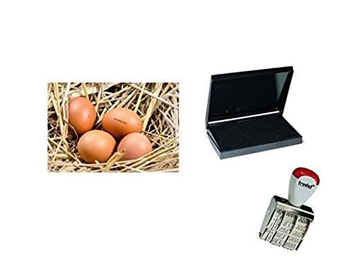 Egg Dater KIT - Includes 3mm Rubber Date Stamp and Ink pad containing Egg Safe Food Ink - Black