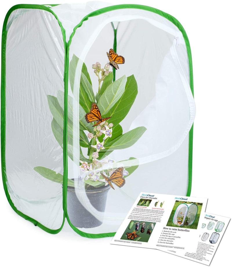 RESTCLOUD Insect and Butterfly Habitat Cage Terrarium Pop-up 23.6 Inches Tall 1 White With Green 15.7 x 15.7 x 23.6 inches