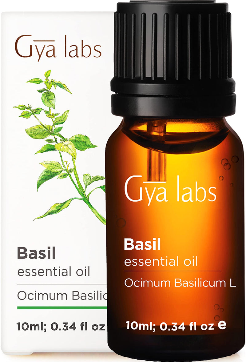 Gya Labs Basil Essential Oil for Focus and Pain Relief - Topical for Sore Muscles, Headache Relief, Migraine Relief, Improve Alertness - 100 Pure Therapeutic Grade Basil Oil for Aromatherapy - 10ml 0.34 Fl Oz (Pack of 1)