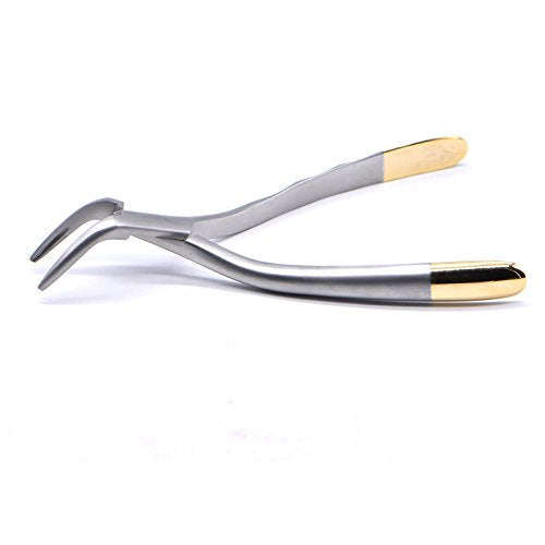 Dental Tooth Extraction Forcep for Root Fragment Minimally Invasive Dental Instrument Curved Forcep (Maxillary and mandibular teeth) 1 Count (Pack of 1)