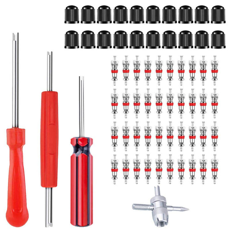 Riseuvo Valve Stem Removal Tool - 40Pcs Valve Cores, 4-Way Valve Tool, Valve Core Remover Tool, Tire Repair Schrader Valve Tool