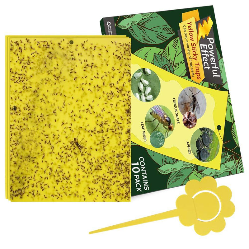 Kensizer 10-Pack Yellow Sticky Gnat Traps Killer for Indoor/Outdoor Flying Plant Insect Like Fungus Gnats, Whiteflies, Aphids, Leaf Miners, Other Flying Plant Insects - 6x8 in, Twist Ties Included