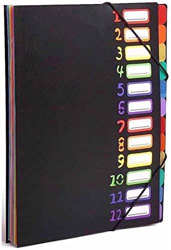 Edufun Expanding File Organizer 24 Pockets, Accordion Folders Letter Size Hold 240 Sheets, Assorted with Rainbow, Designed for Home, Office and School