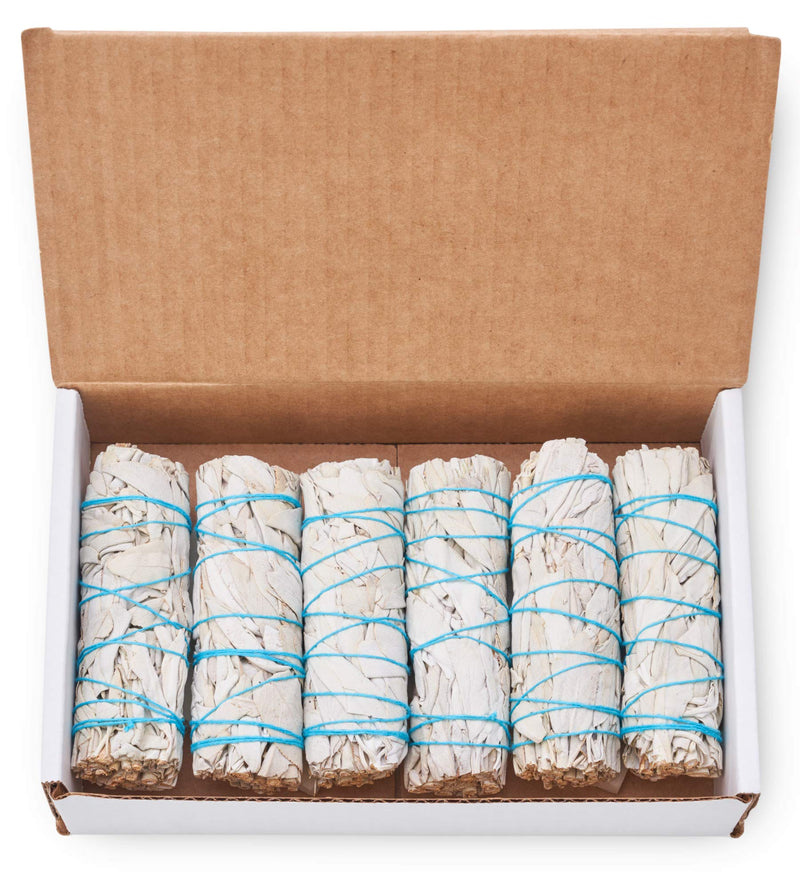 6 Pack White Sage ~ Sage Smudge Sticks for Smudging & Cleansing Energy ~ Bulk / Wholesale ~ Sustainably Grown (6 Pack) 6 Pack