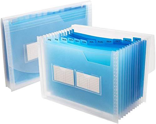 Sooez Expanding File Folder with Sticky Labels, 13 Pockets Accordion File Folder File Organizer Letter A4 Paper Organizer Filing Folder Expandable Document Folder Storage Paperwork Organize, 1 Pack Clear(blue)