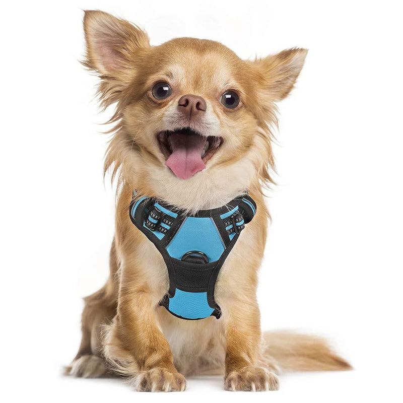 rabbitgoo Dog Harness, No-Pull Pet Harness with 2 Leash Clips, Adjustable Soft Padded Dog Vest, Reflective No-Choke Pet Oxford Vest with Easy Control Handle for Small Dogs, Baby Blue, S