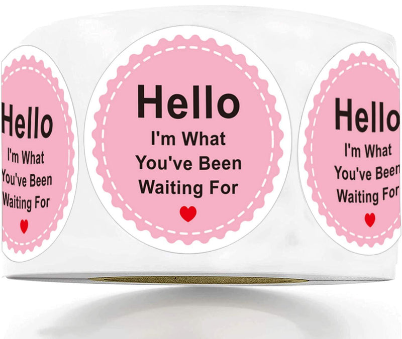 2" Round Pink Hello, I'm What You've Been Waiting for Stickers Hello Christmas Labels - Business Thank You Stickers 500 Adhesive Thank You Labels Shipping Stickers Per Roll 2 in