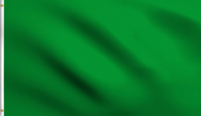 DMSE Solid Blank Flag 3X5 Ft Foot Flag UV Resistant (2x3 Polyester, Green) 2x3 Polyester