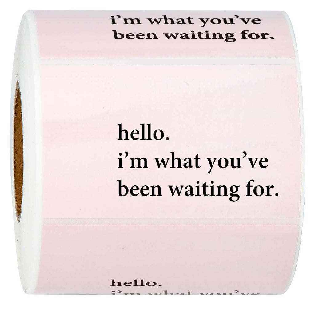 WRAPAHOLIC Hello I'm What You've Been Waiting for Stickers - Pink Business Thank You Stickers, Shipping Stickers - 2 x 3.2 Inch 350 Total Labels Waitting for - Pink