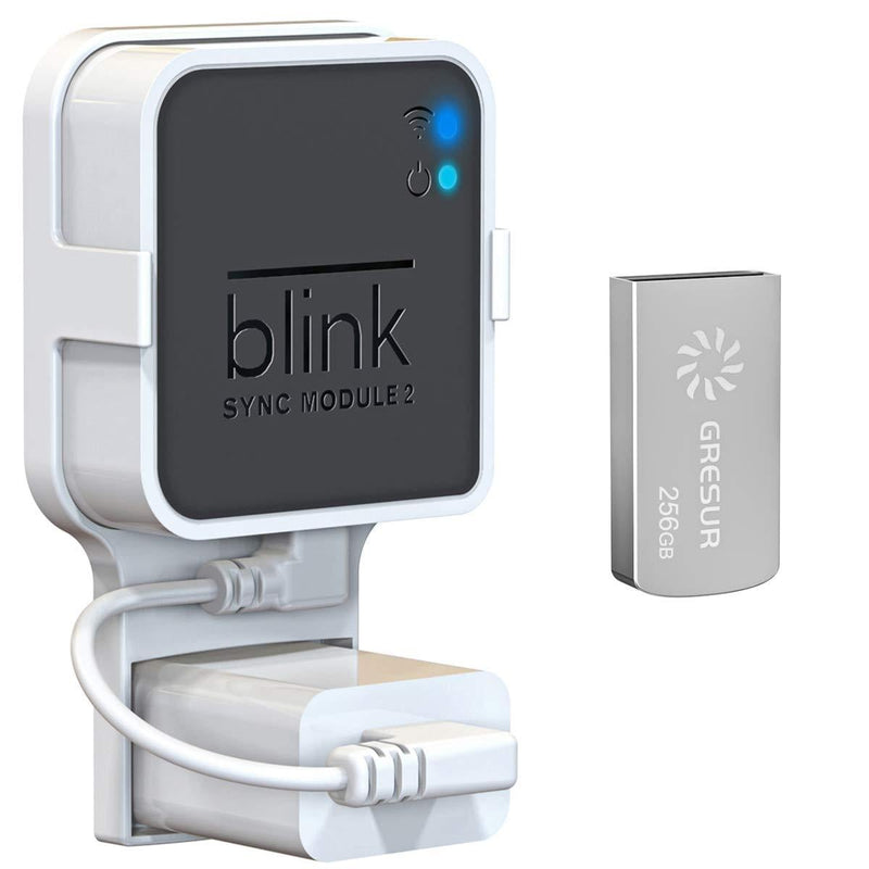 256GB Blink USB Flash Drive for Local Video Storage with The Blink Sync Module 2 Mount (Blink Add-On Sync Module 2 is NOT Included) 256 GB + 1 Pack White