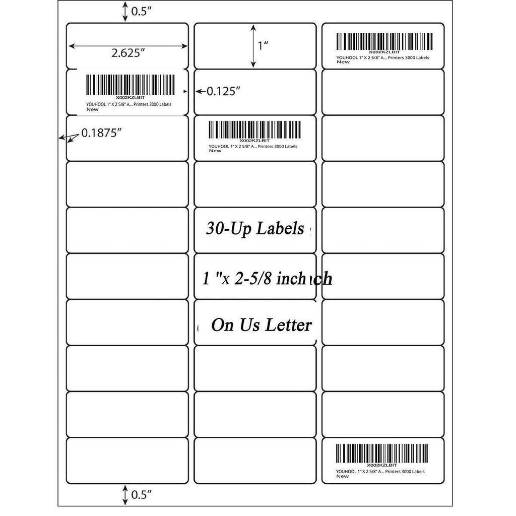 YOUHOOL Address Labels 1" x 2-5/8" for Inkjet Printers Laser Printers 30 per Sheet White Color Printable Mailing Labels, Pack of 750 Labels (750LABEL) 750LABEL