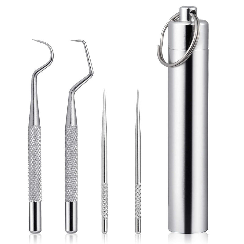Worldity 5Pcs Portable Toothpicks Set, Portable Reusable Stainless Steel Toothpicks, Professional Teeth Cleaning Tools, Dental Picks with Toothpick Holder and Key Ring for Travel Picnic Camping