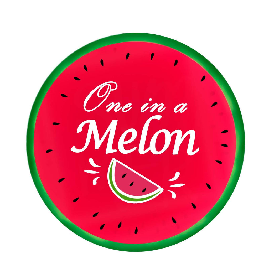 One in a Melon Party Stickers,2 Inch 1st First Birthday Watermelon Label for Party Favors Decoration,120 Pcs Per Pack.