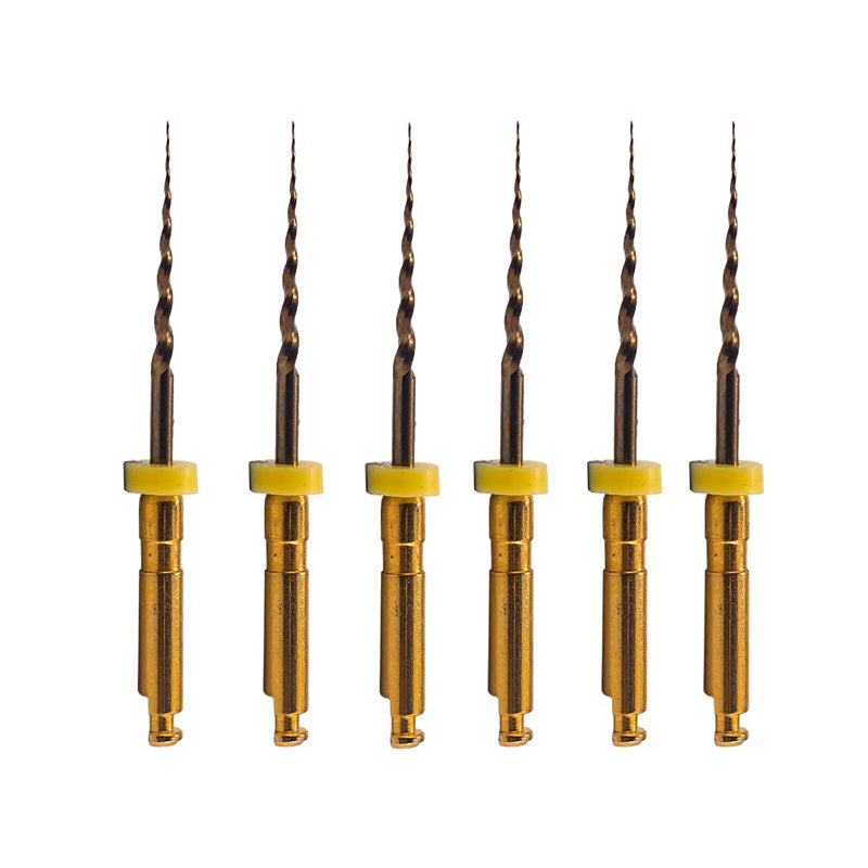 Easyinsmile X-Pro Gold Protaper NITI Rotary Files, 6PCS Endo Controlled Memory Files (SX 19MM) SX 19MM