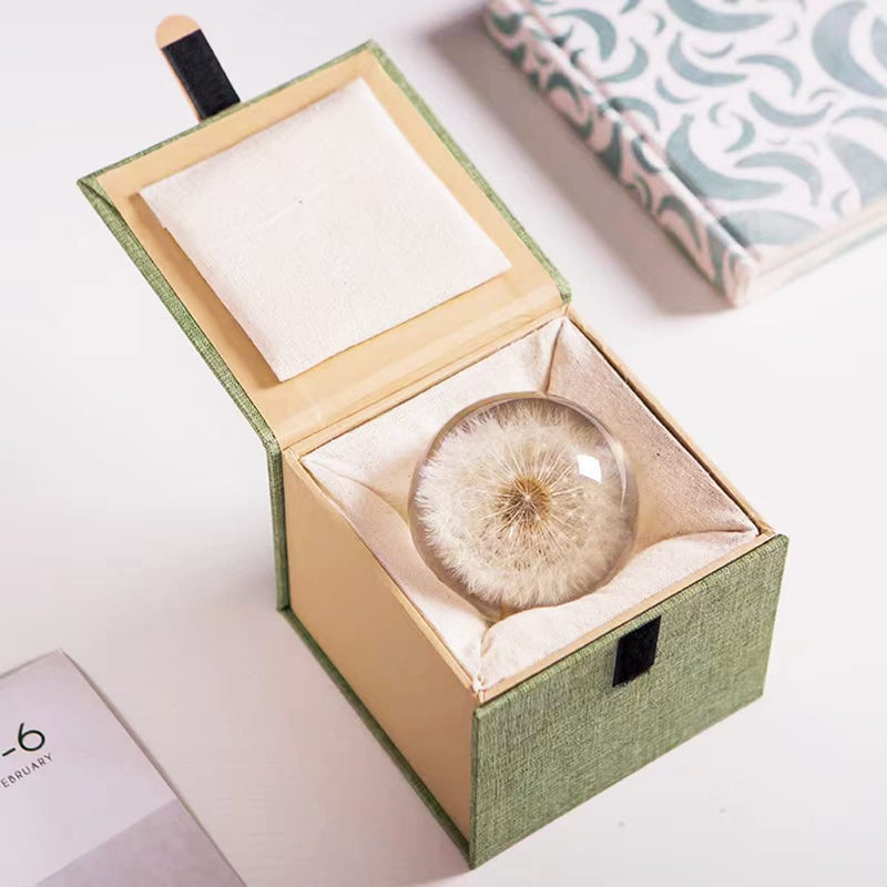 DESHINTKE Real Dandelion Specimen Ball Paperweight Desktop Decor Decoration (Large) Large